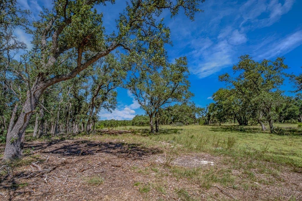 11.4 acres in Gillespie County gallery image 3
