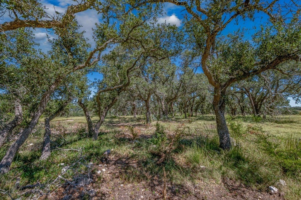 11.4 acres in Gillespie County gallery image 4