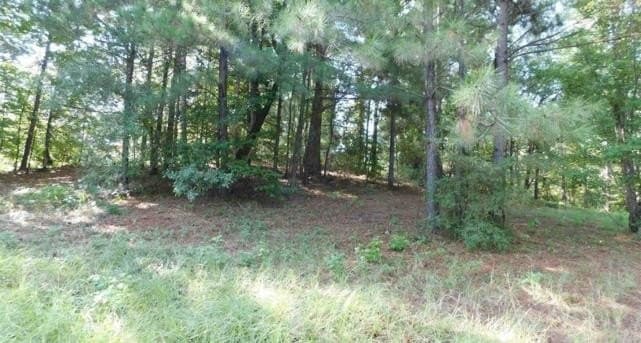 2.13 acres in Texas County