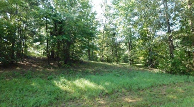 2.13 acres in Texas County - photo 4