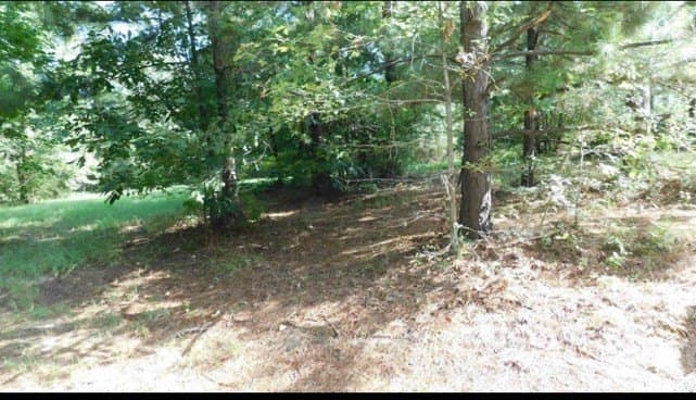 2.13 acres in Texas County - photo 2