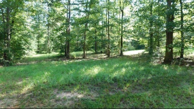 2.13 acres in Texas County - photo 3