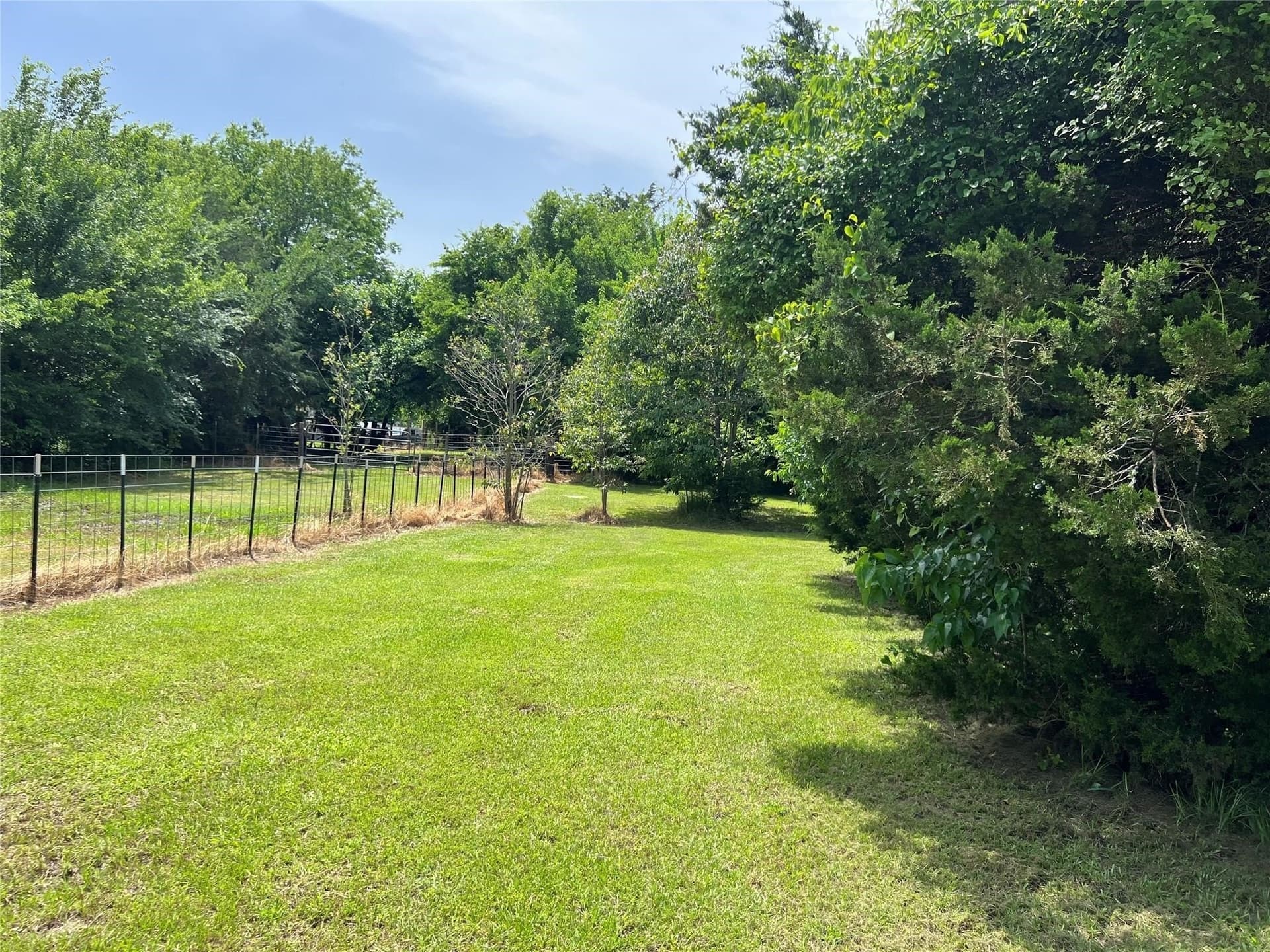 2 acres in Van Zandt County - photo 4