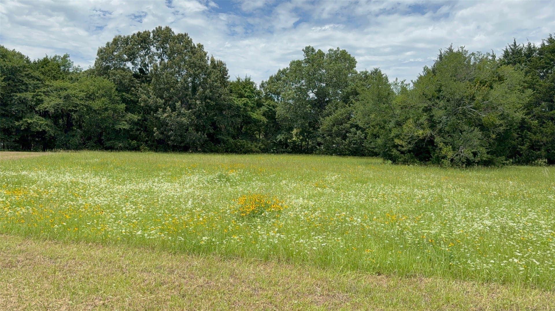 2 acres in Van Zandt County - photo 19
