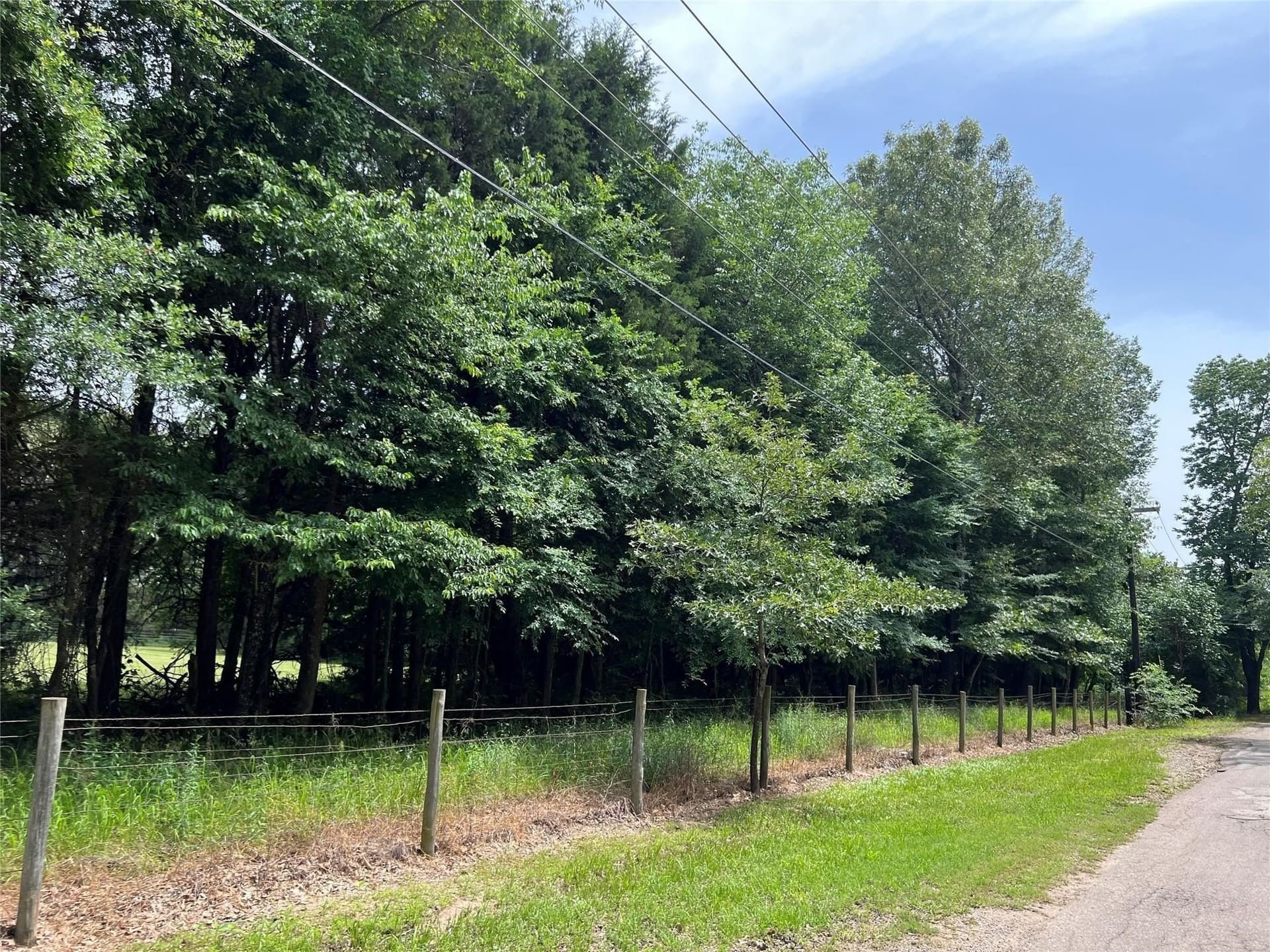 2 acres in Van Zandt County - photo 3