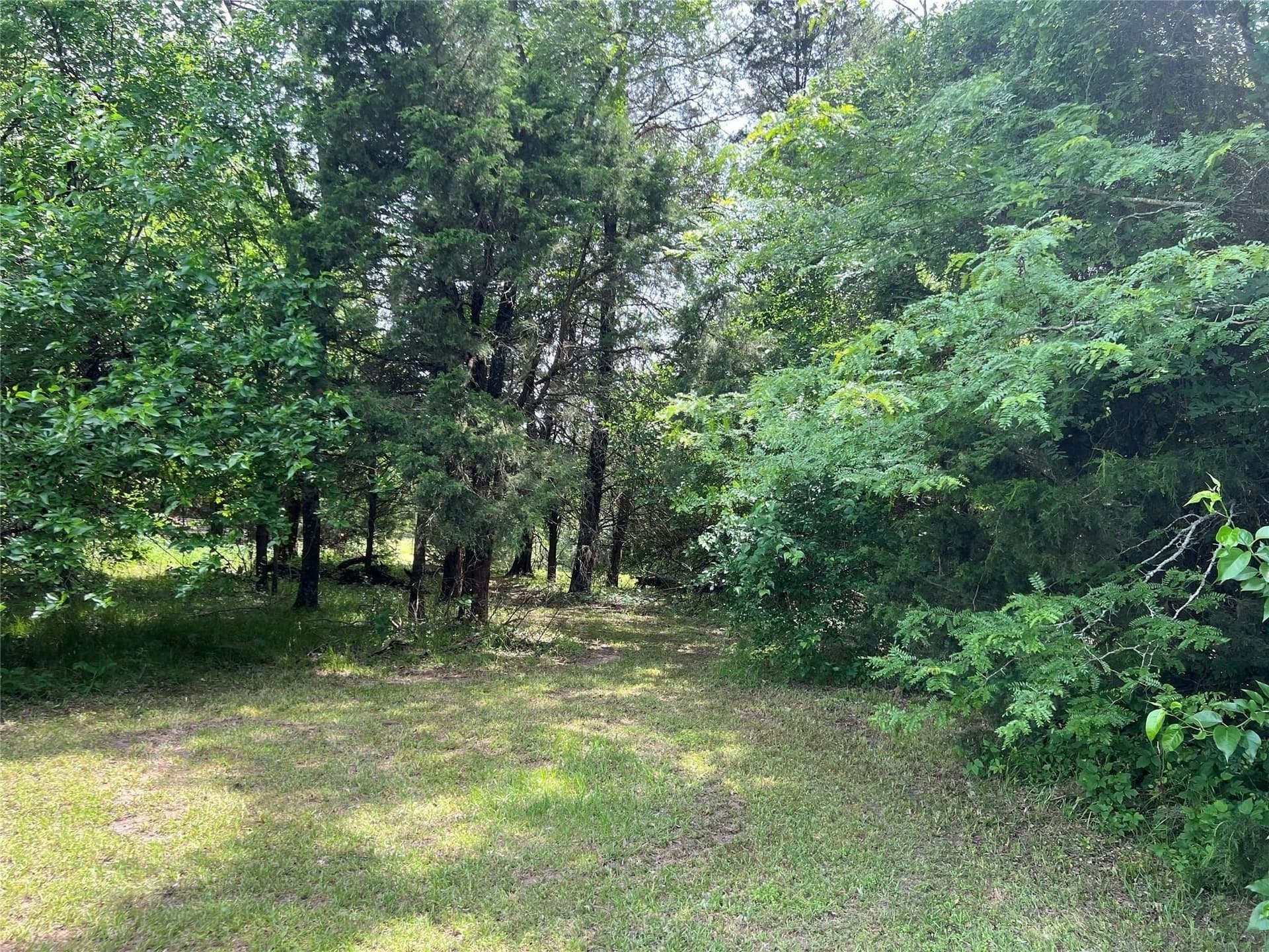 2 acres in Van Zandt County - photo 12