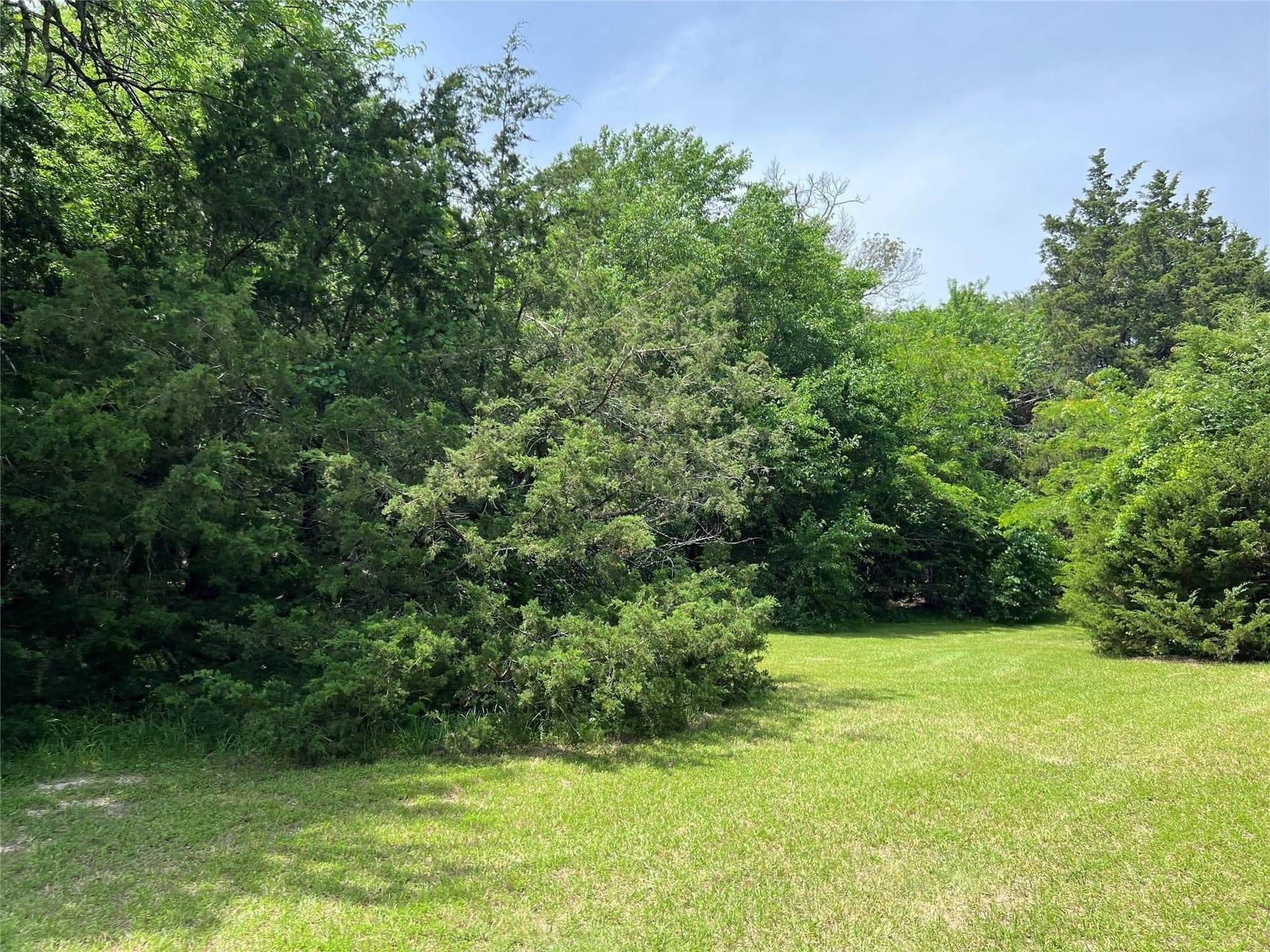 2 acres in Van Zandt County - photo 5