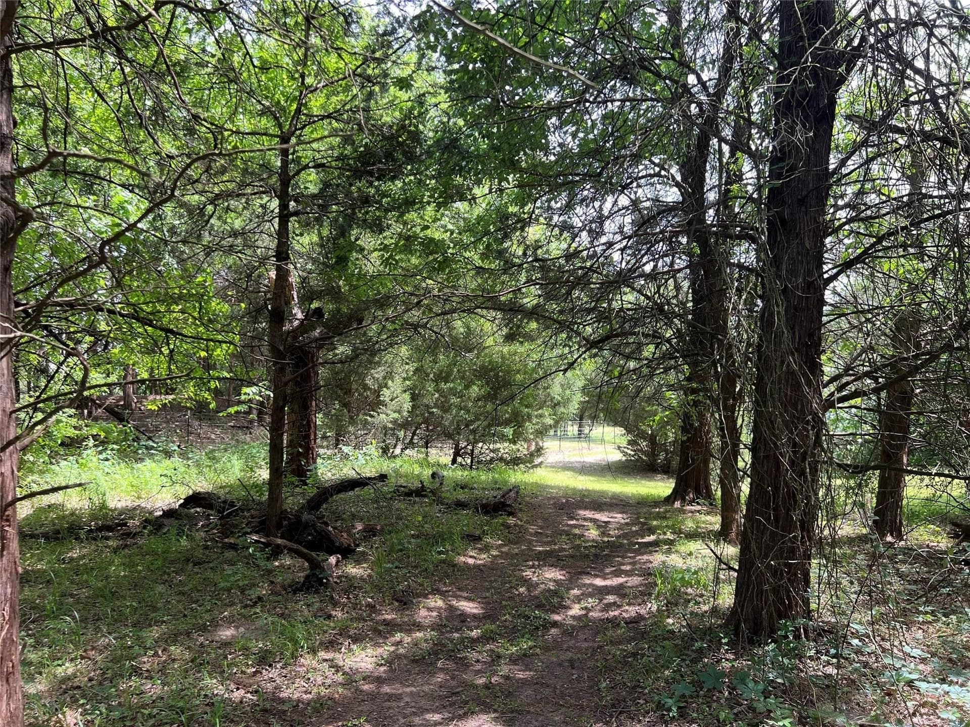 2 acres in Van Zandt County - photo 10
