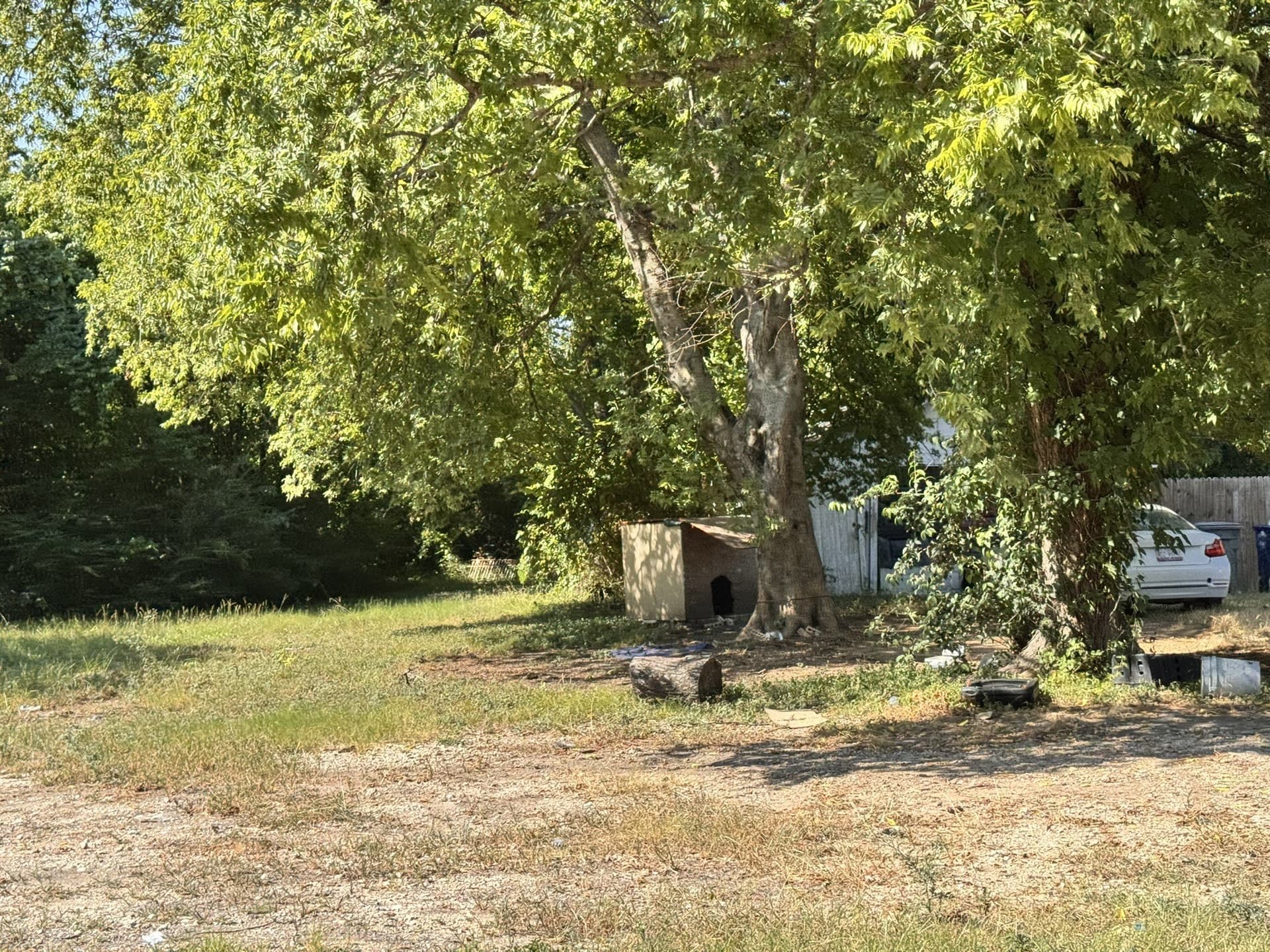1.01 acres in Dallas County gallery image 2