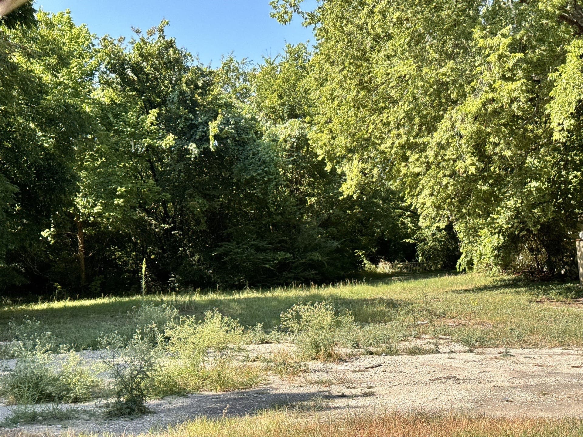 1.01 acres in Dallas County gallery image 4