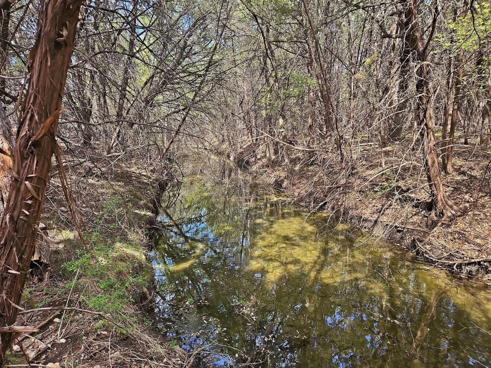 48.42 acres in Coryell County - photo 4