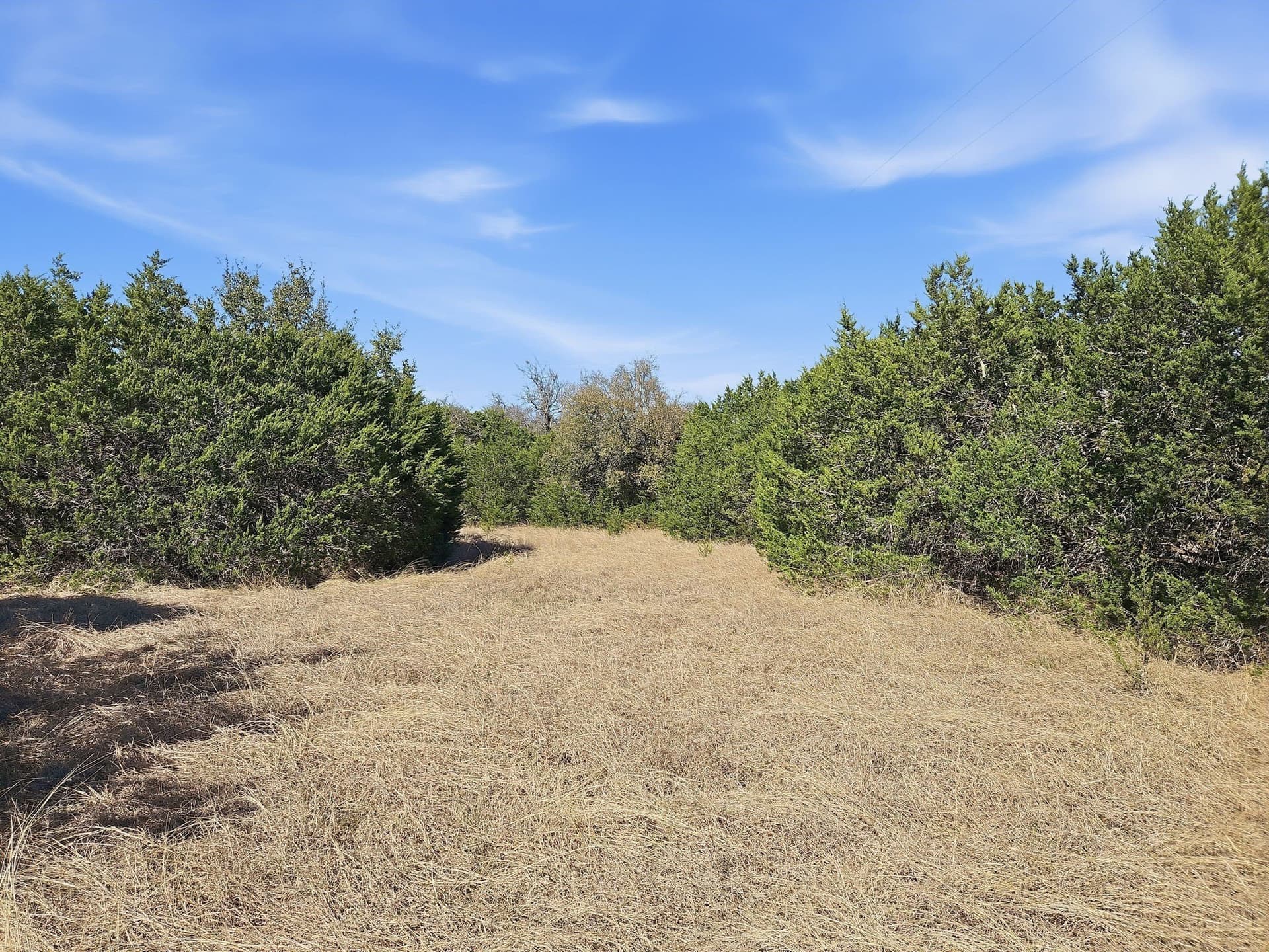 48.42 acres in Coryell County - photo 31