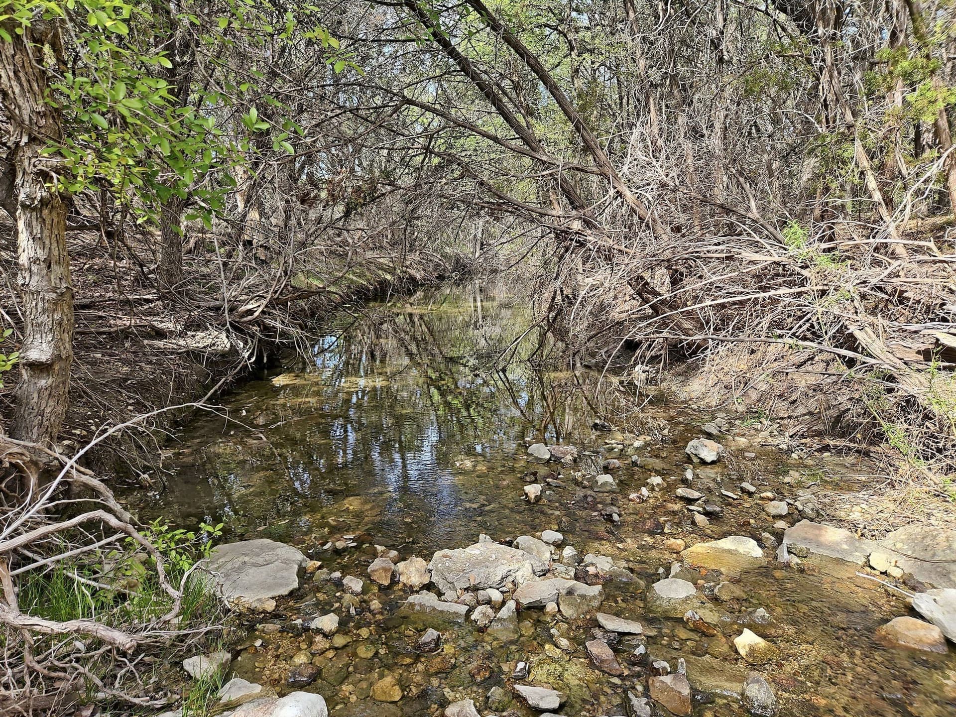 48.42 acres in Coryell County - photo 9