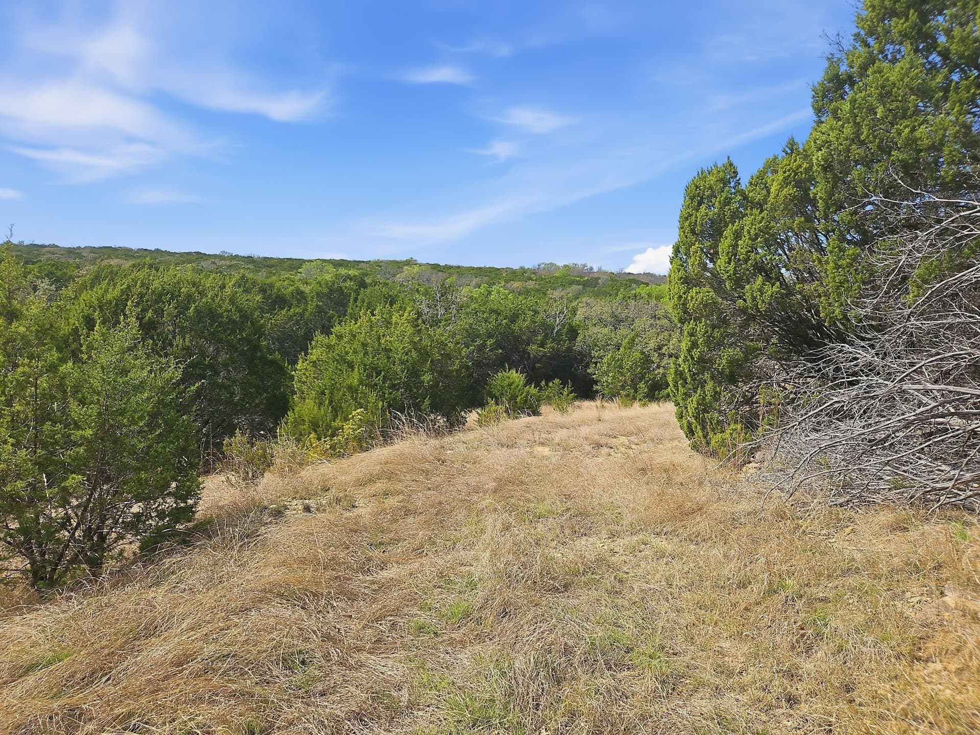 48.42 acres in Coryell County - photo 19