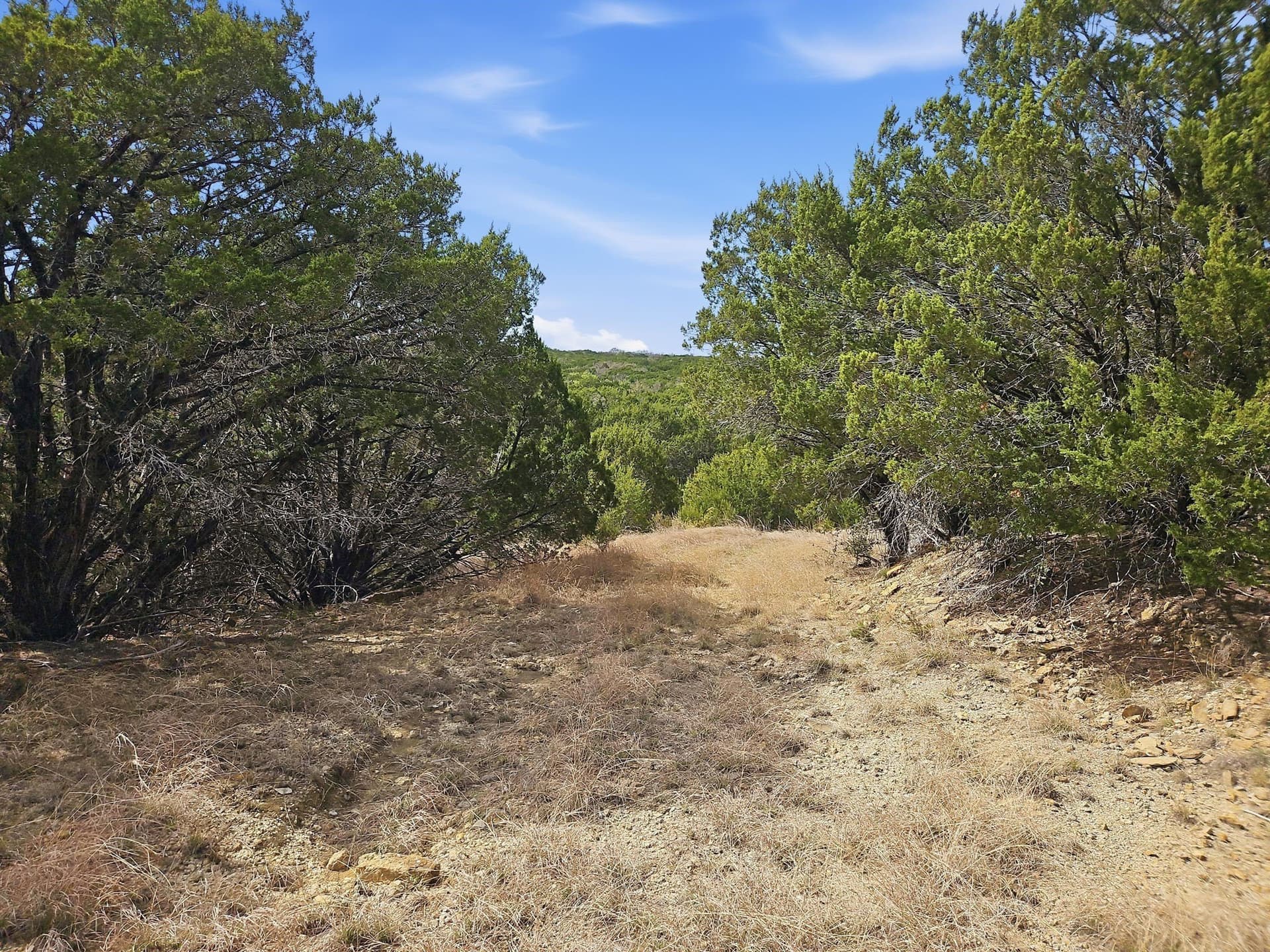 48.42 acres in Coryell County - photo 13