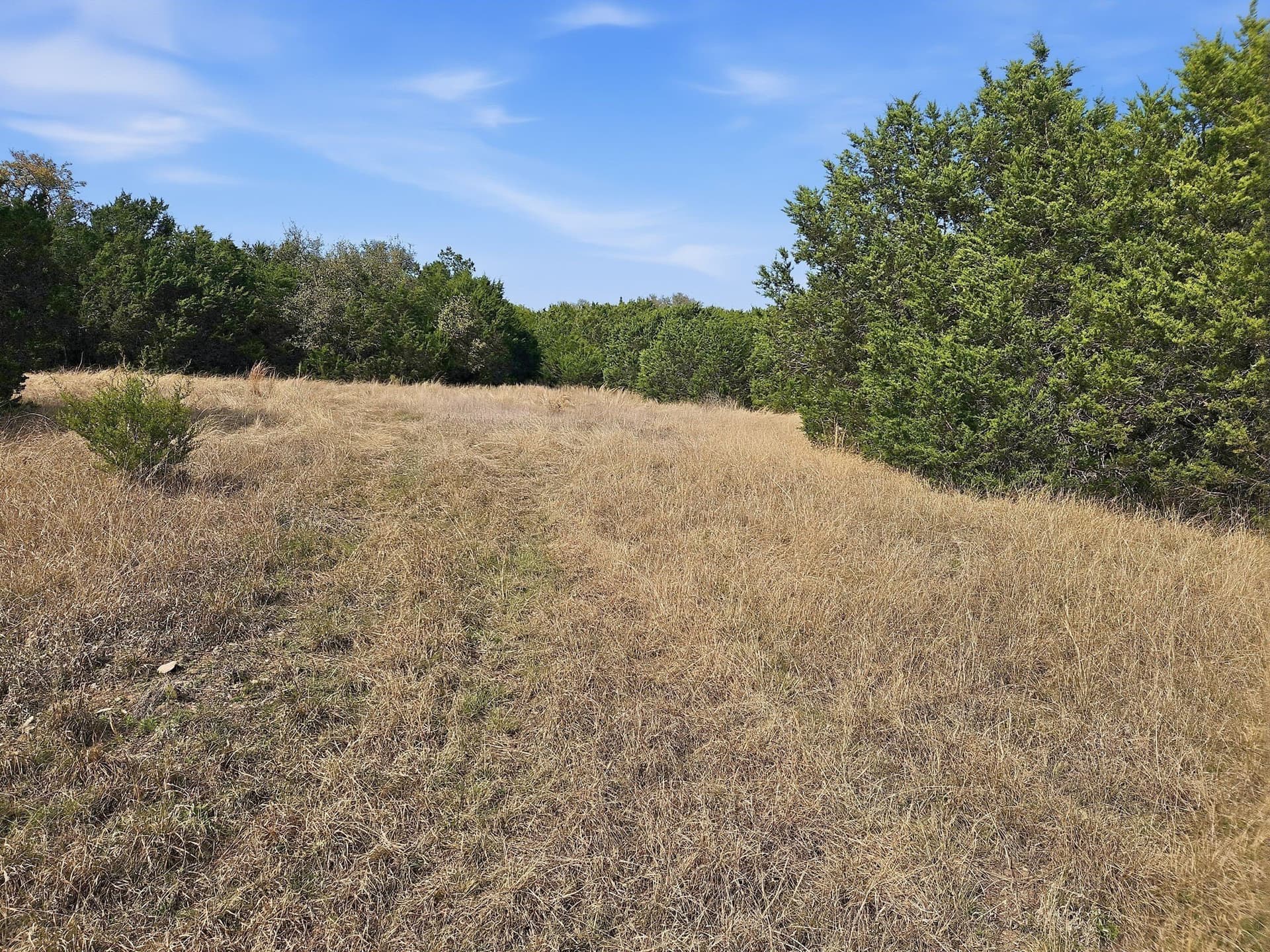 48.42 acres in Coryell County - photo 30
