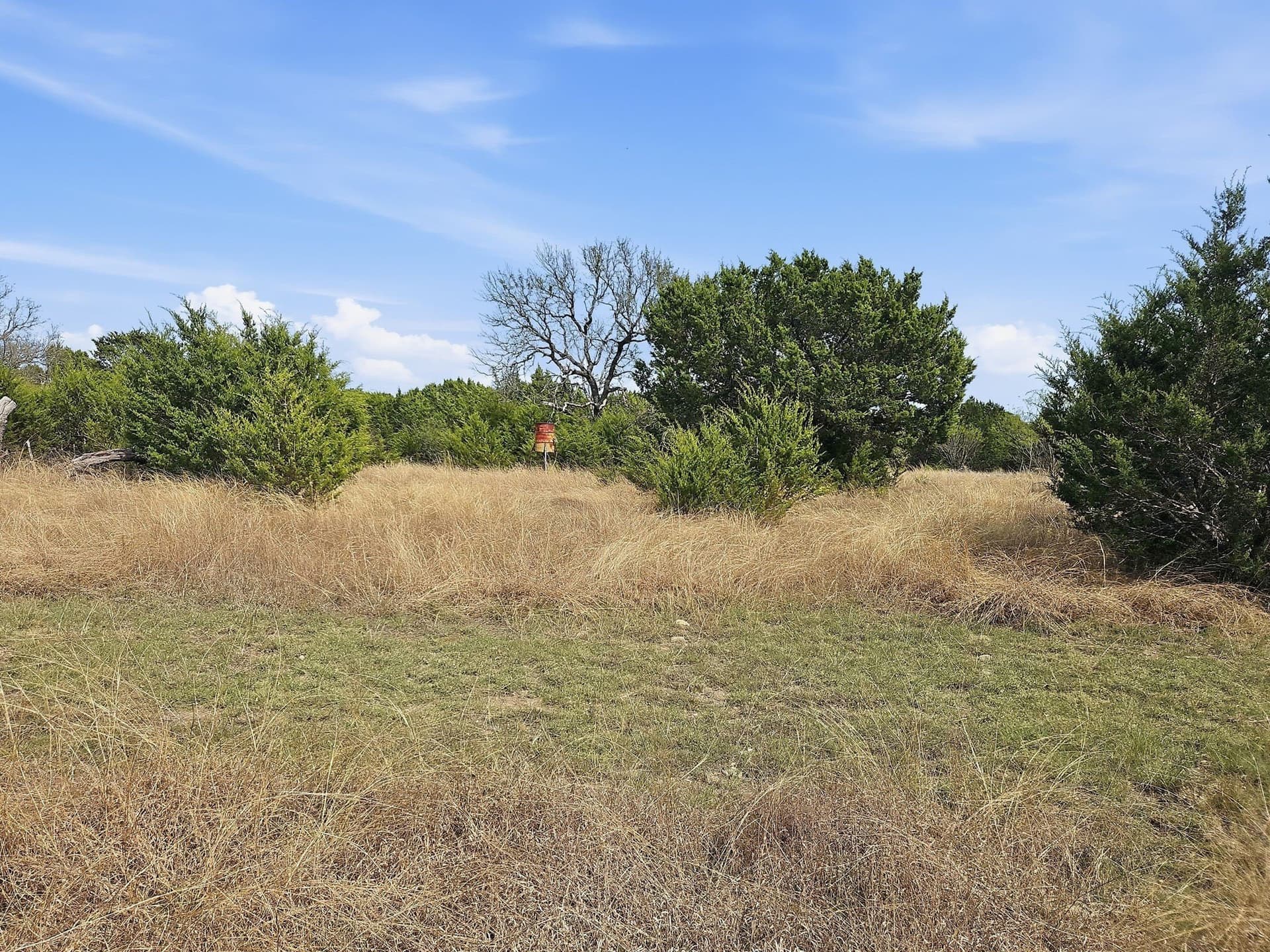 48.42 acres in Coryell County - photo 17