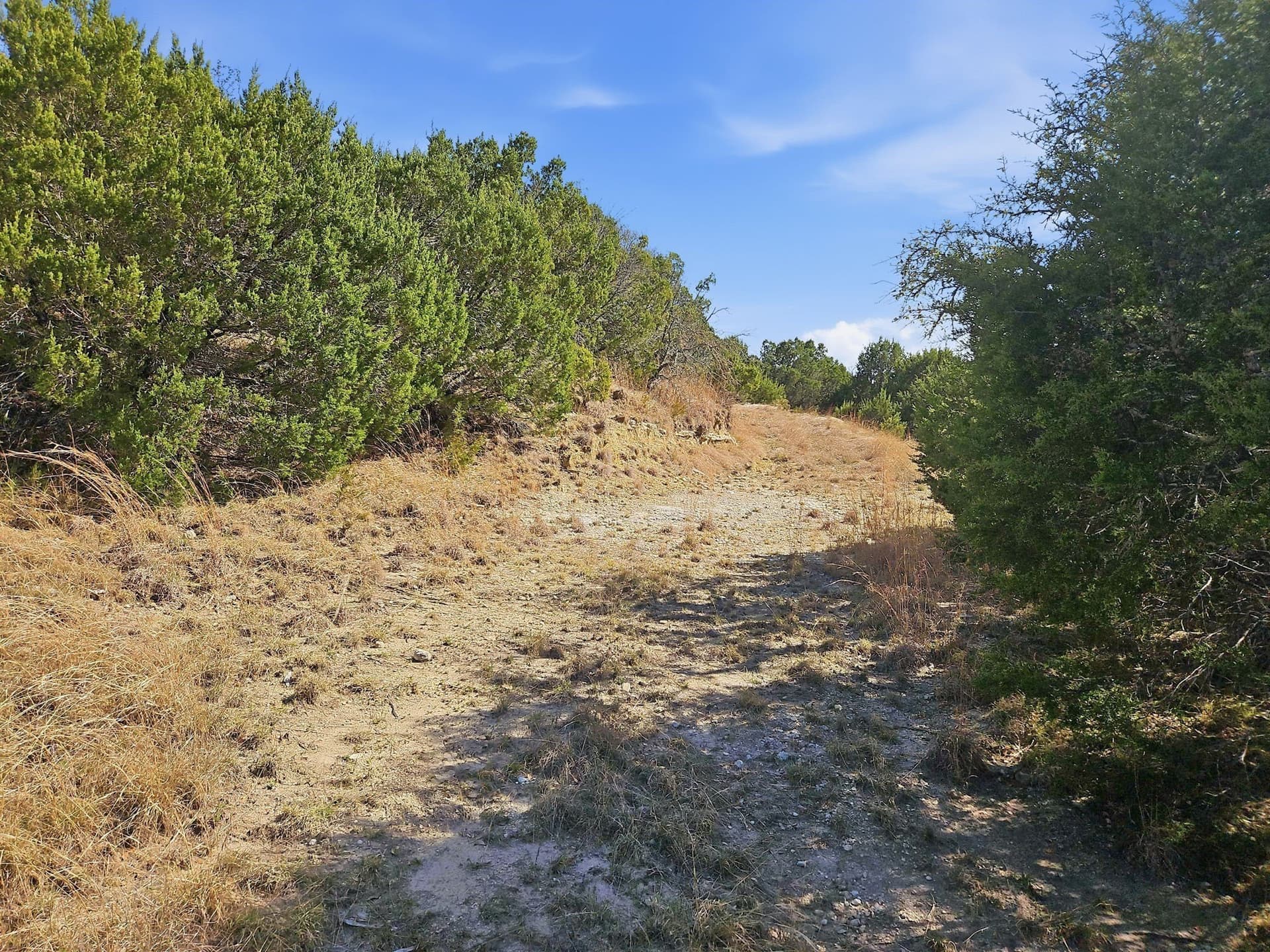 48.42 acres in Coryell County - photo 26