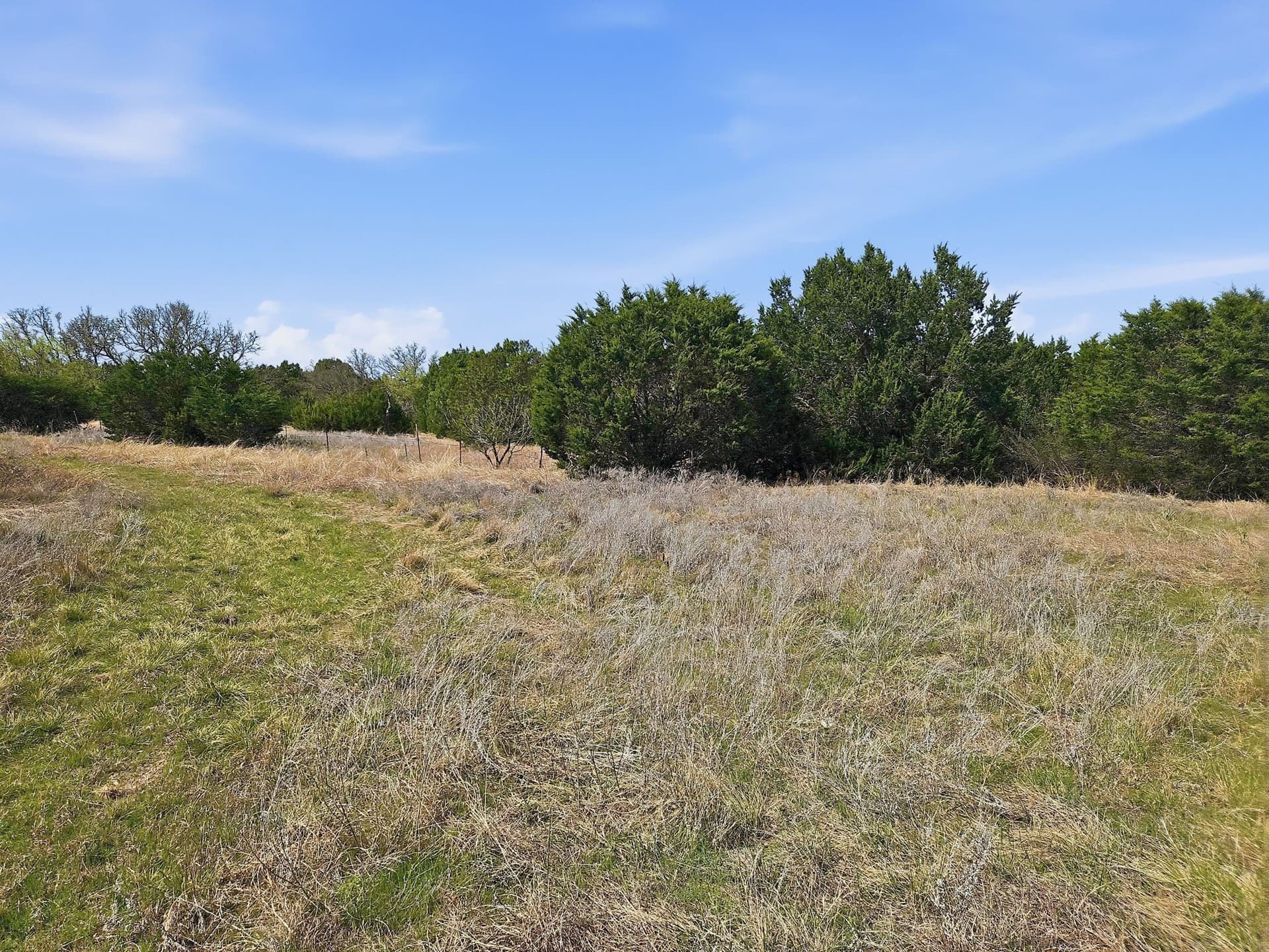 48.42 acres in Coryell County - photo 10