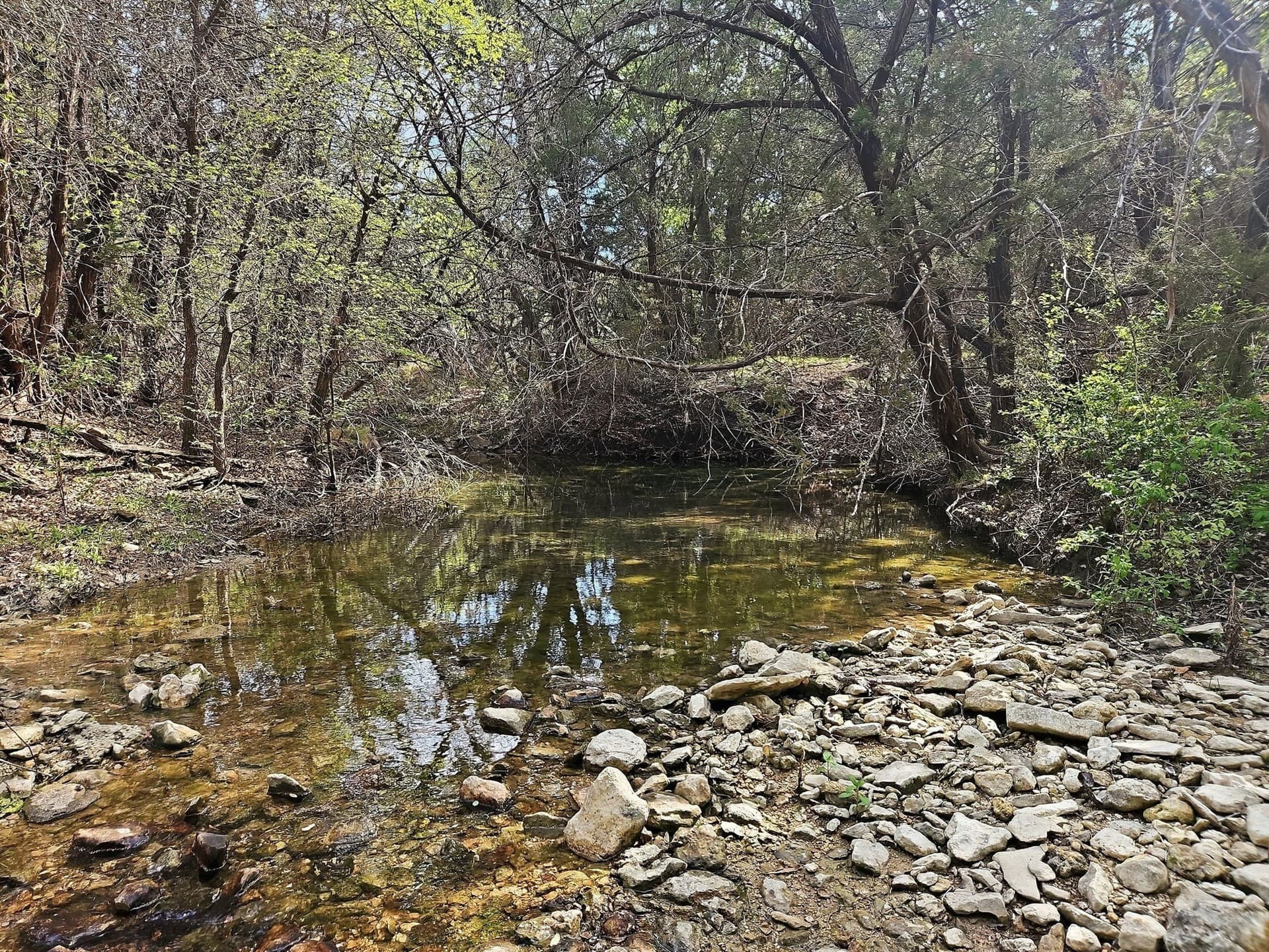 48.42 acres in Coryell County - photo 22
