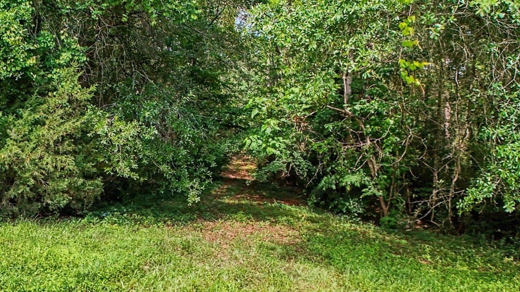 8 acres in Texas County gallery image 2