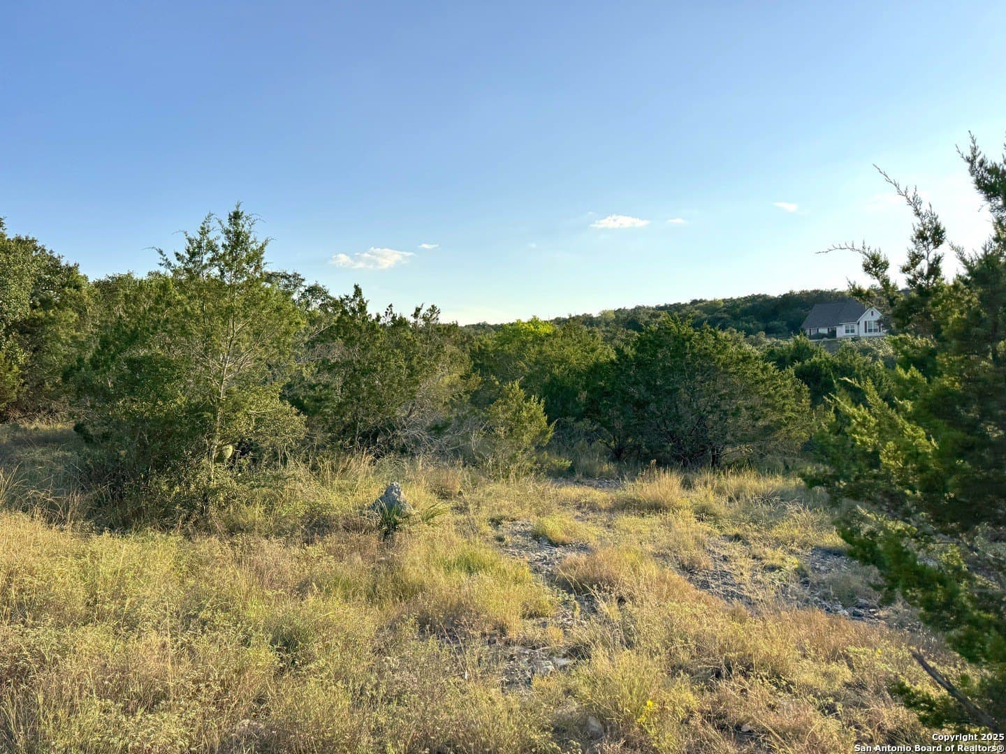 0.69 acres in Comal County - photo 8
