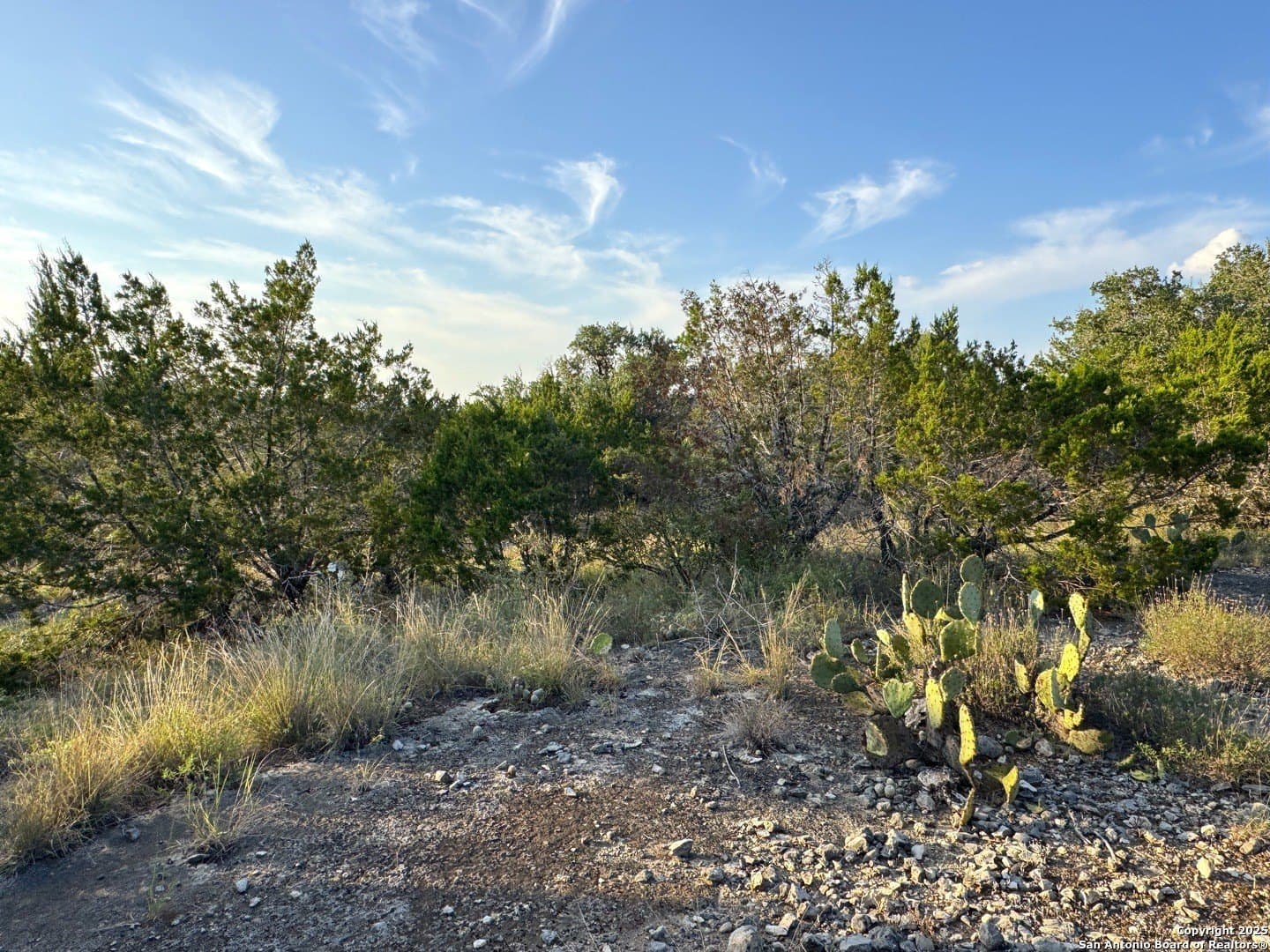 0.69 acres in Comal County gallery image 4