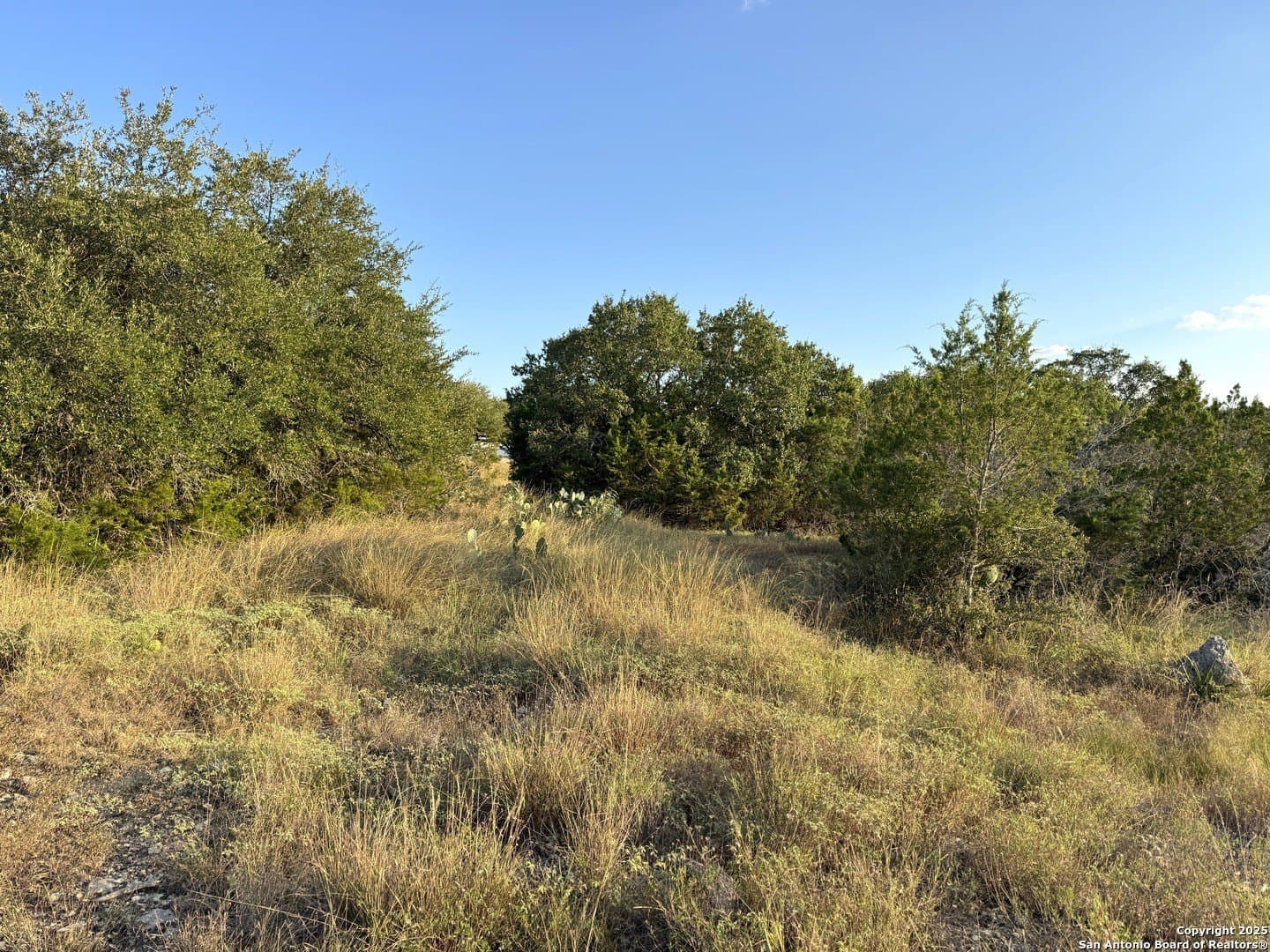0.69 acres in Comal County featured view