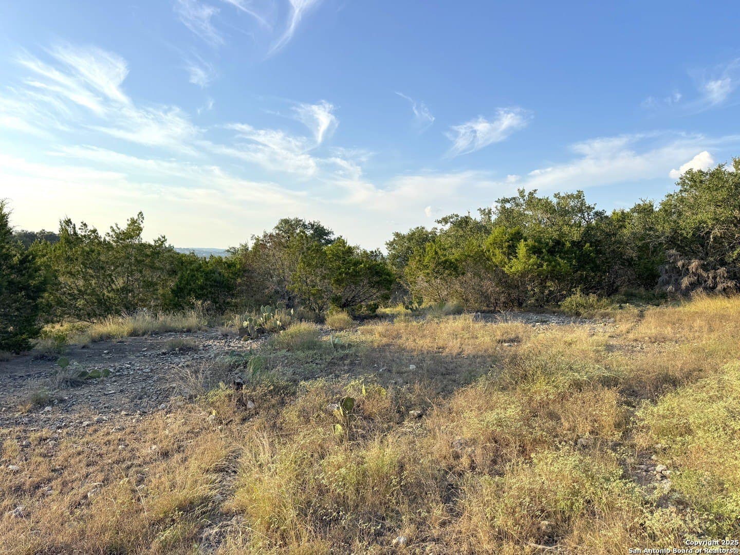0.69 acres in Comal County - photo 6