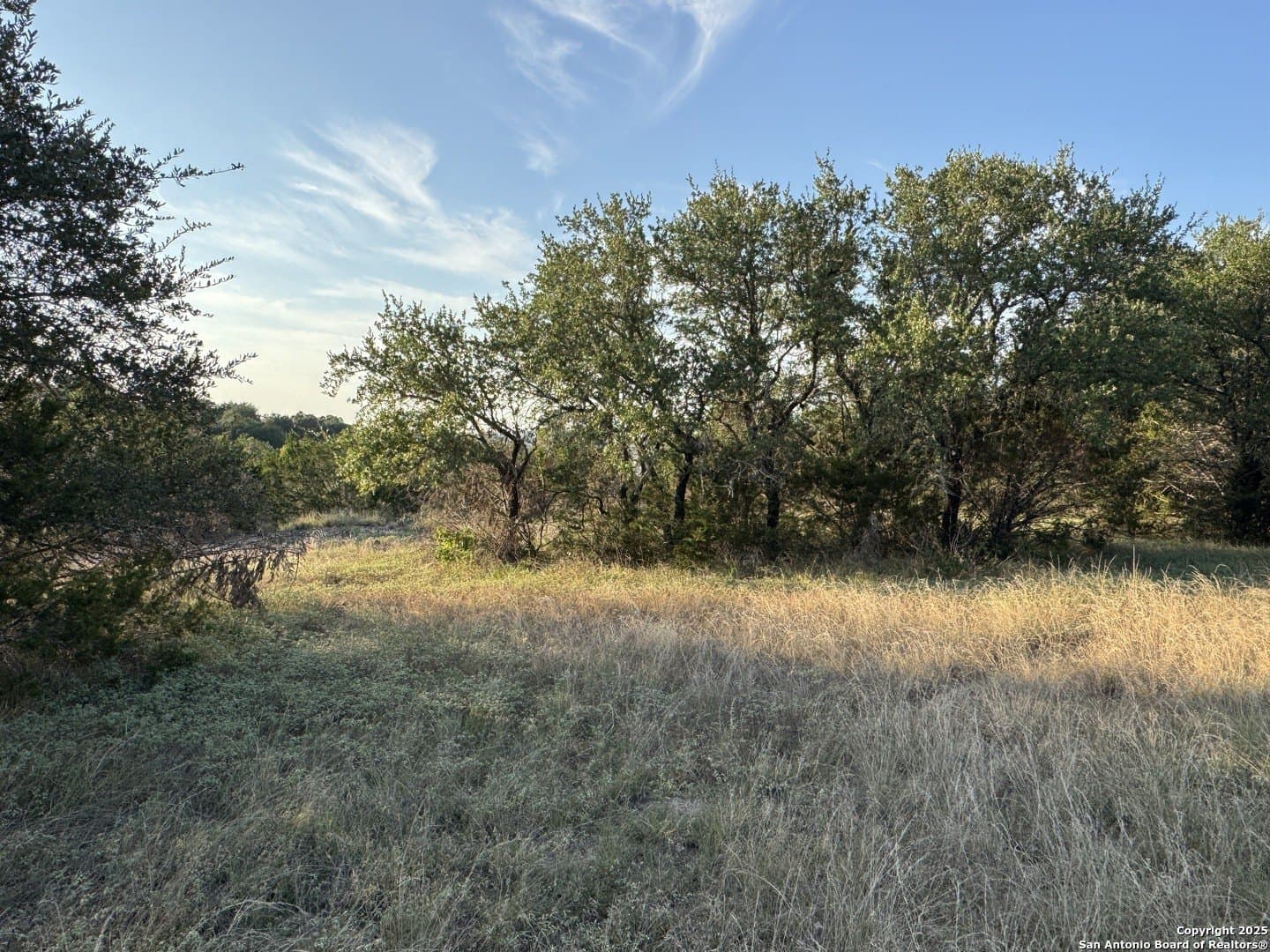 0.69 acres in Comal County - photo 7
