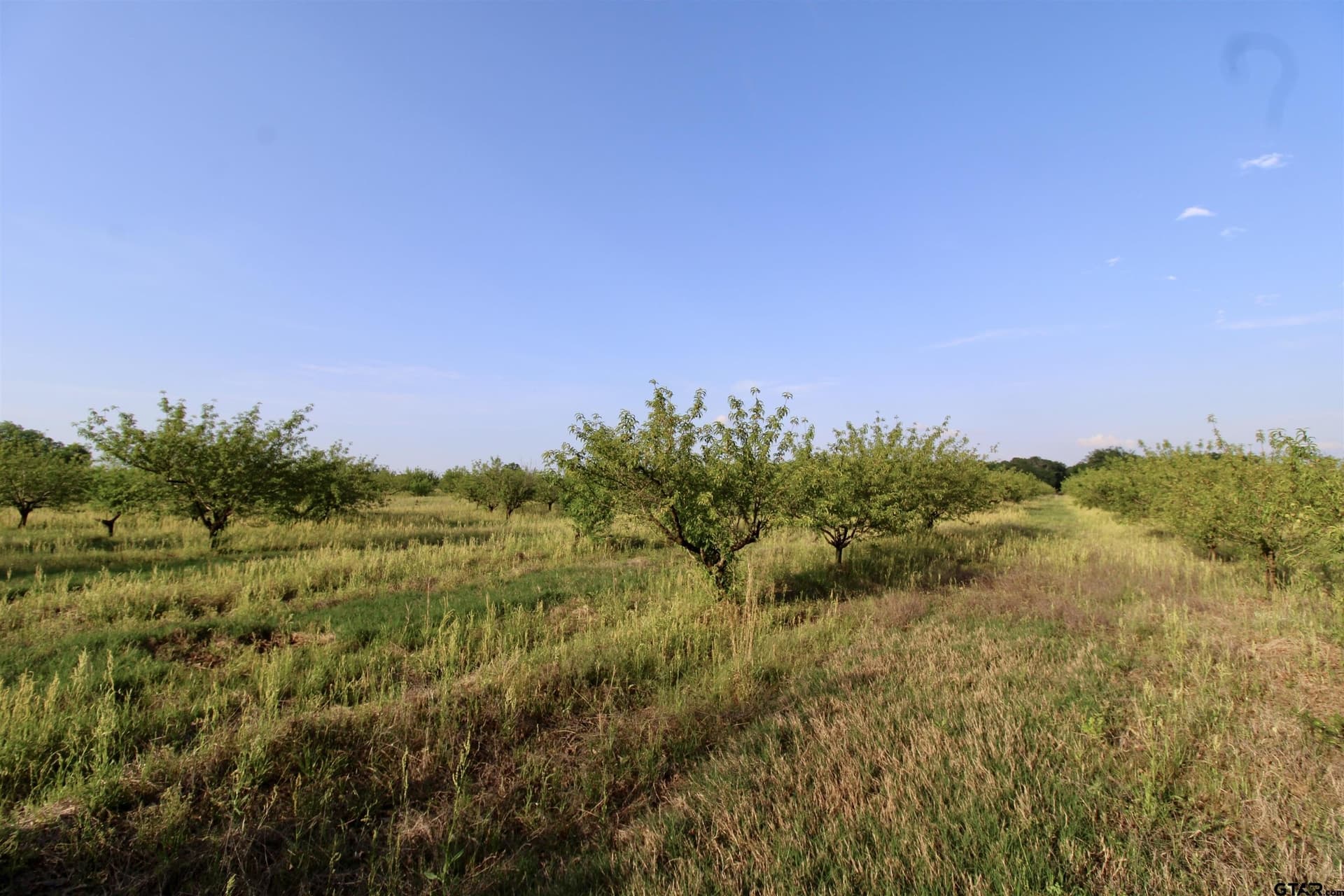 0.8 acres in Camp County featured view