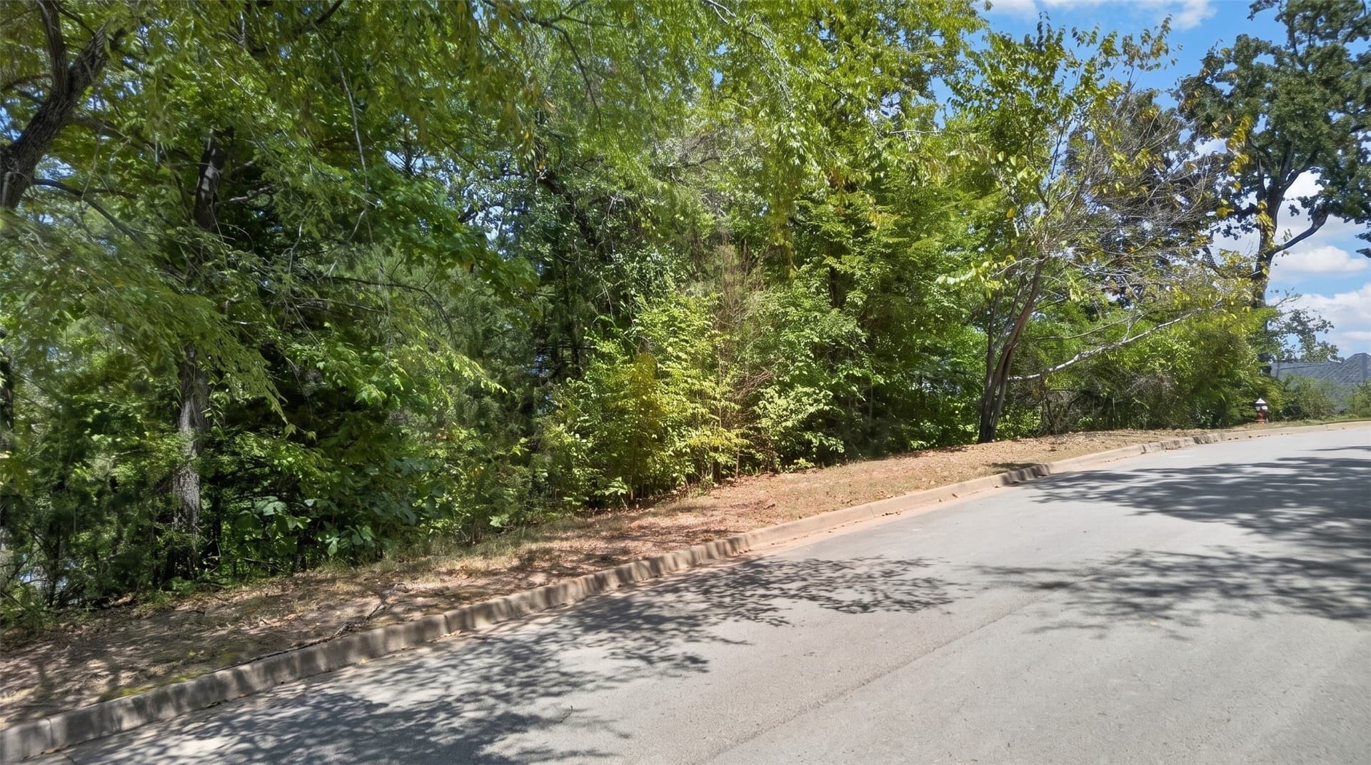 0.86 acres in Smith County - photo 15