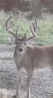 371.57 acres in Cherokee County