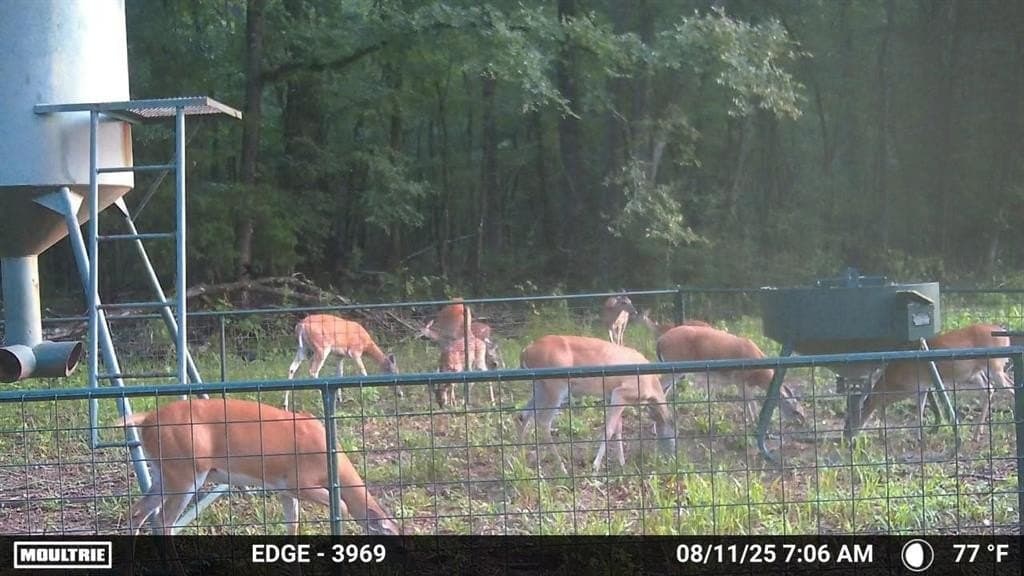 371.57 acres in Cherokee County gallery image 2