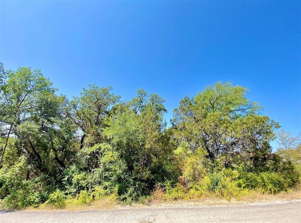 0.05 acres in Hood County gallery image 2