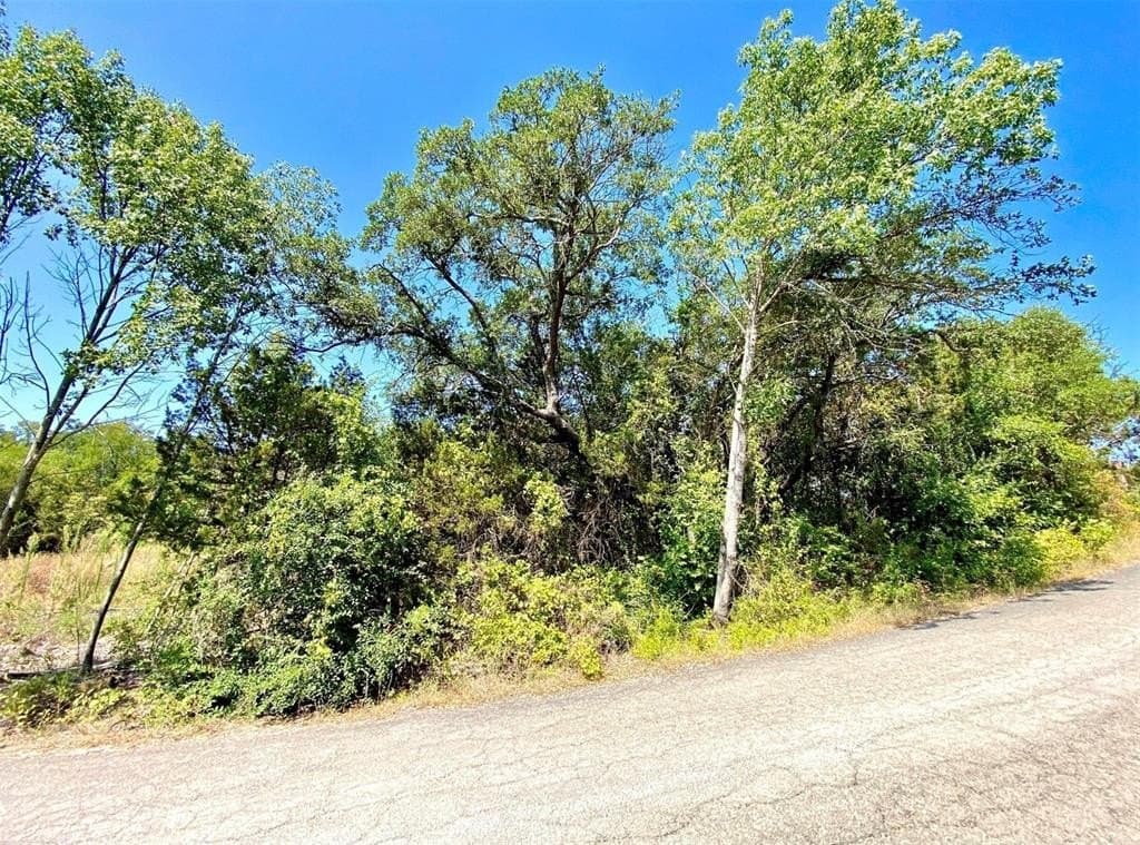 0.05 acres in Hood County gallery image 4