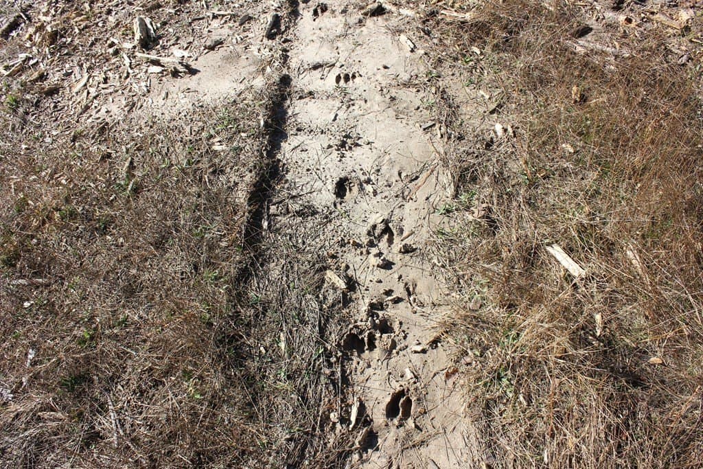 30 acres in Texas County featured view