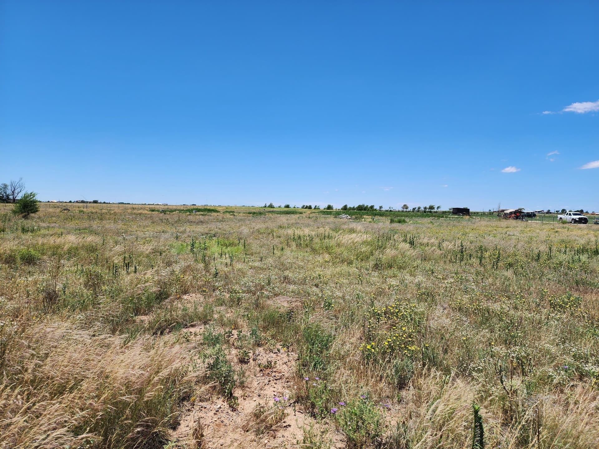 9.23 acres in Lubbock County gallery image 4