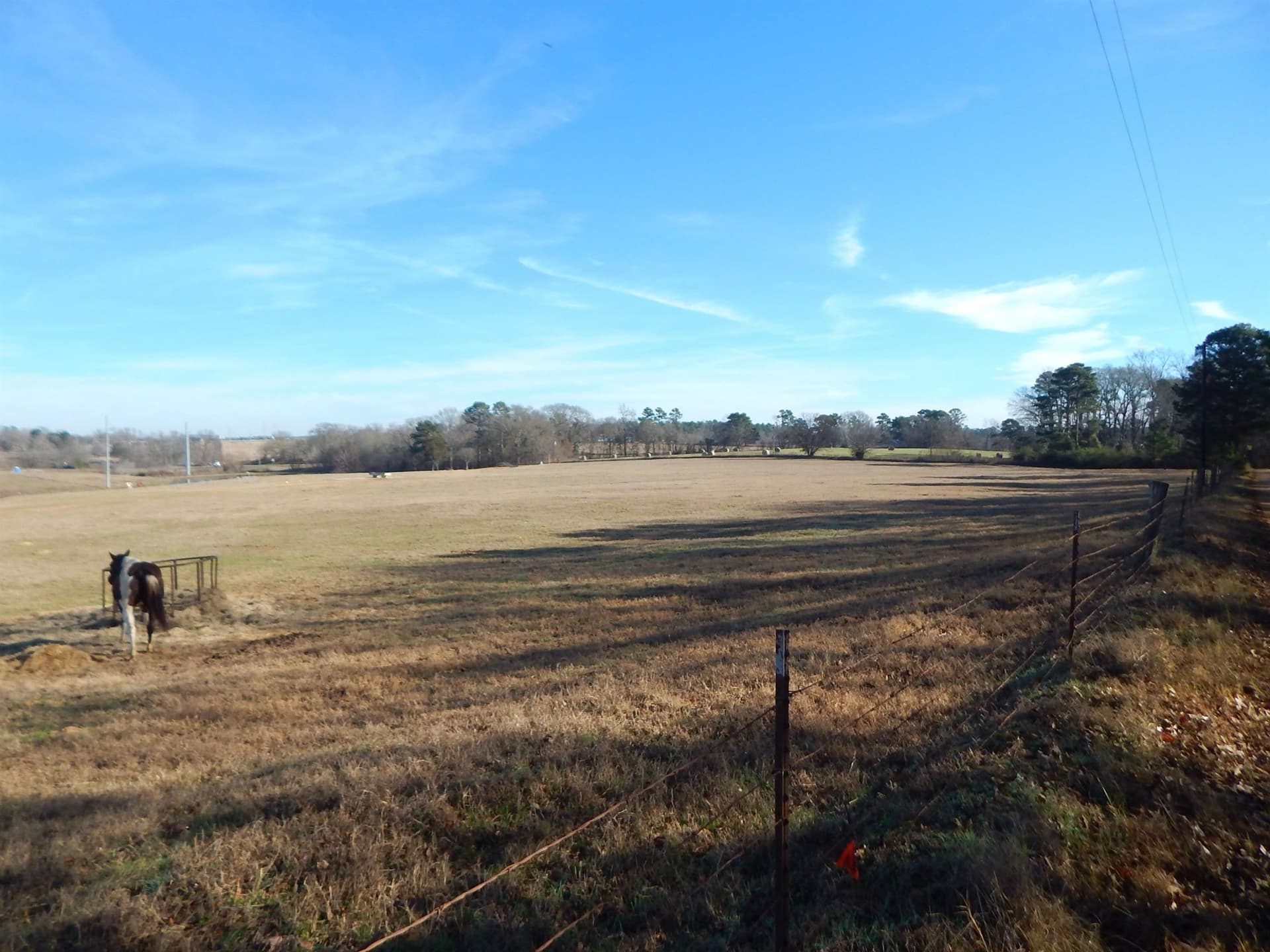 18.2 acres in Upshur County - photo 12