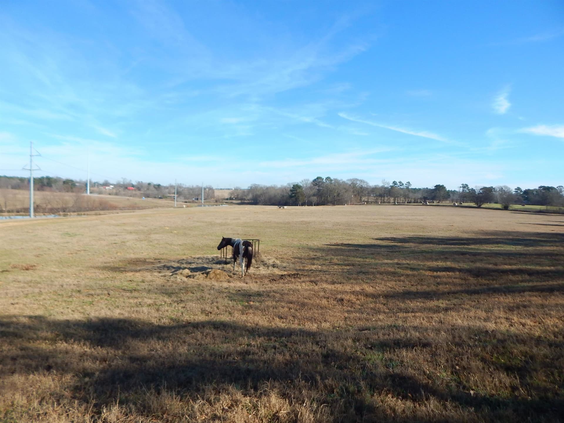 18.2 acres in Upshur County - photo 13