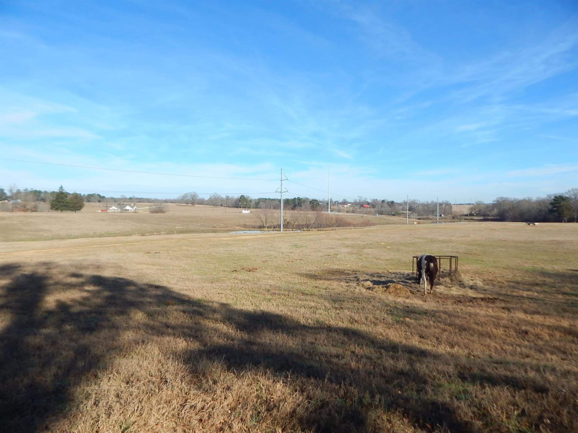 18.2 acres in Upshur County - photo 11