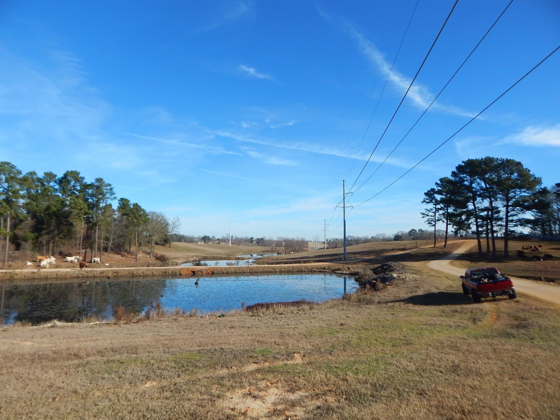 18.2 acres in Upshur County - photo 9