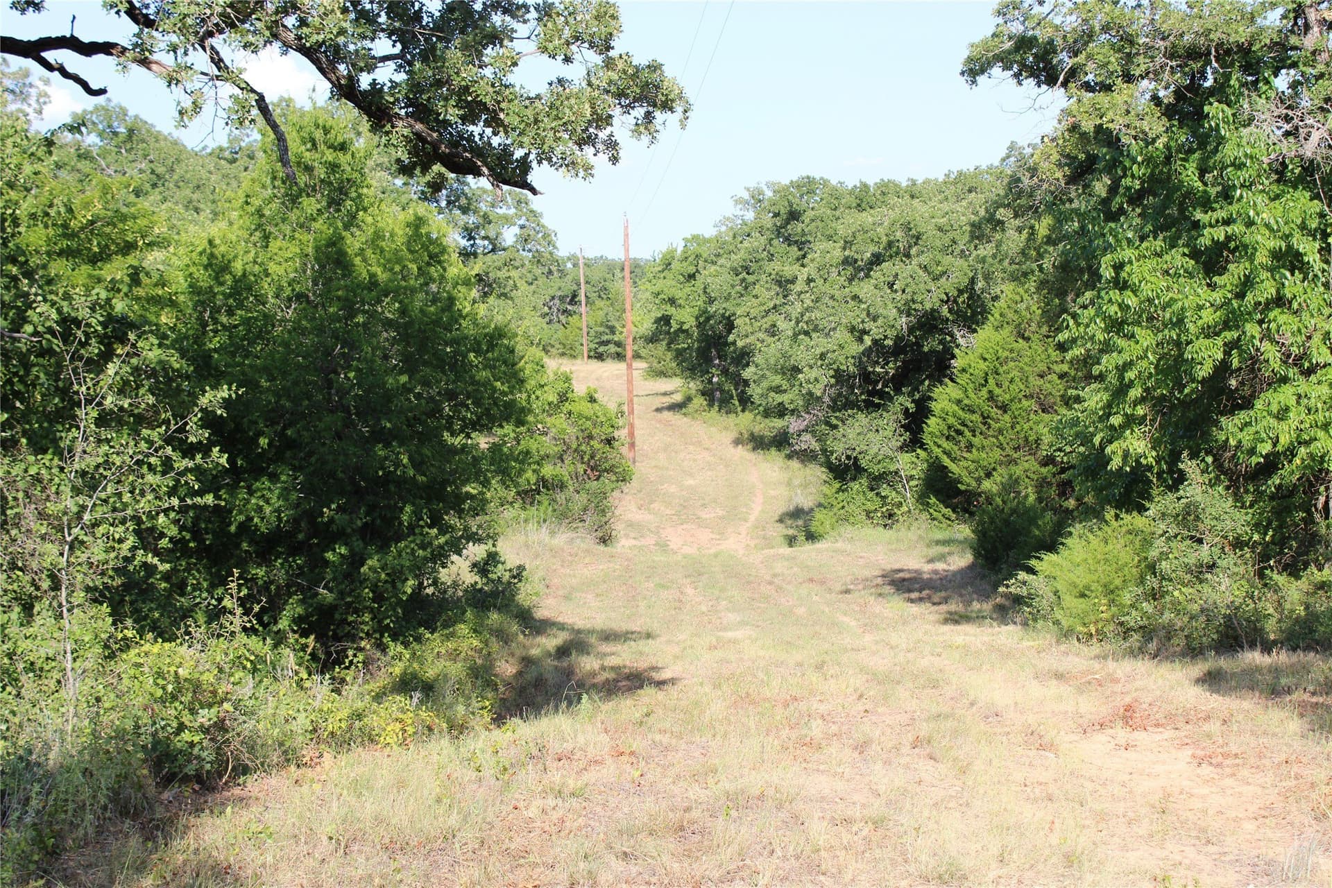 18 acres in Wise County - photo 6