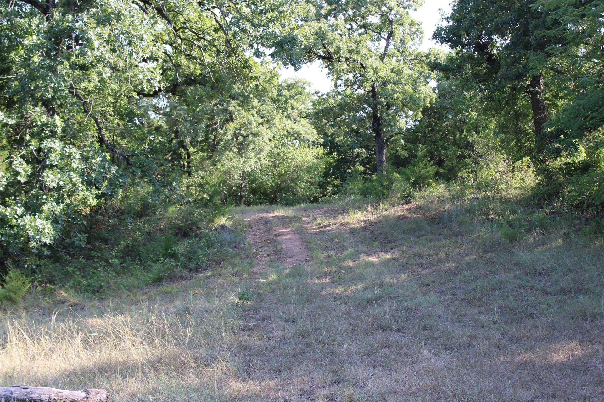 12 acres in Wise County gallery image 4