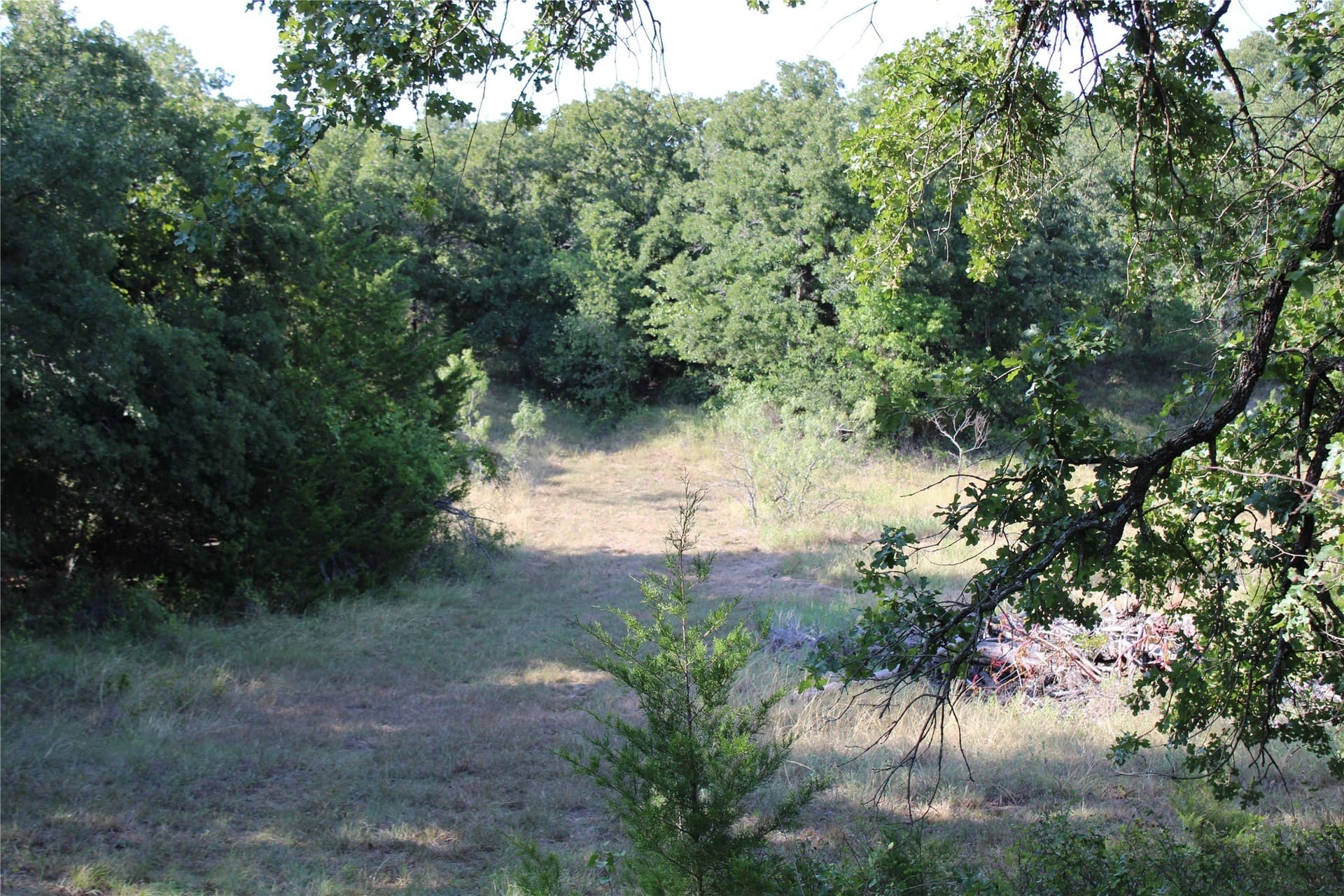 12 acres in Wise County featured view