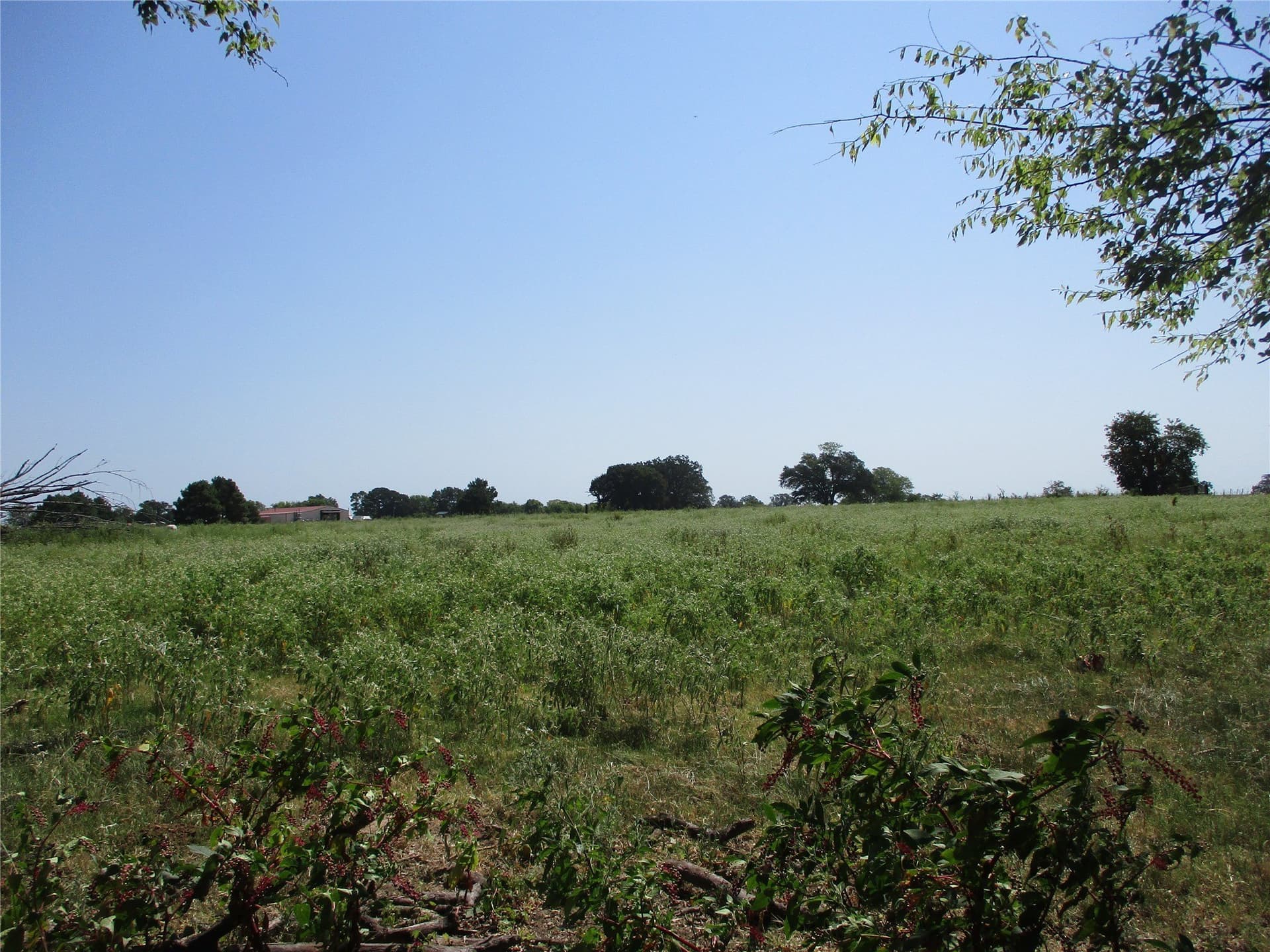 10.32 acres in Rains County - photo 2