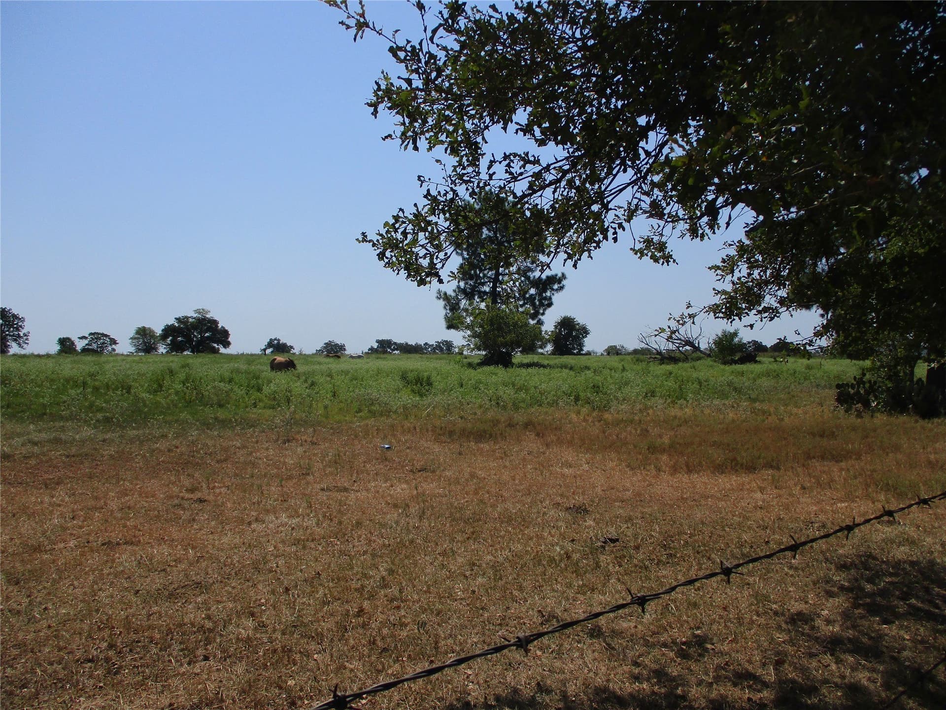 10.32 acres in Rains County - photo 8