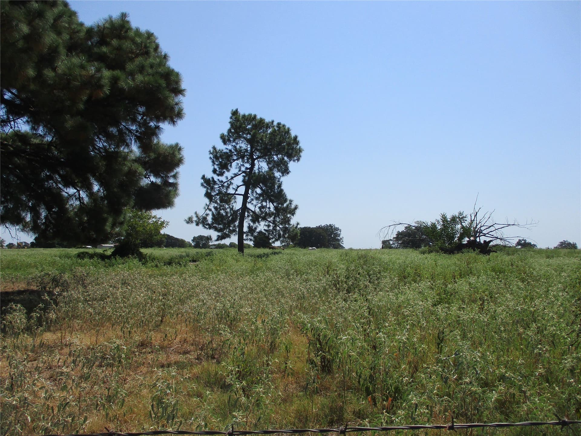 10.32 acres in Rains County - photo 5