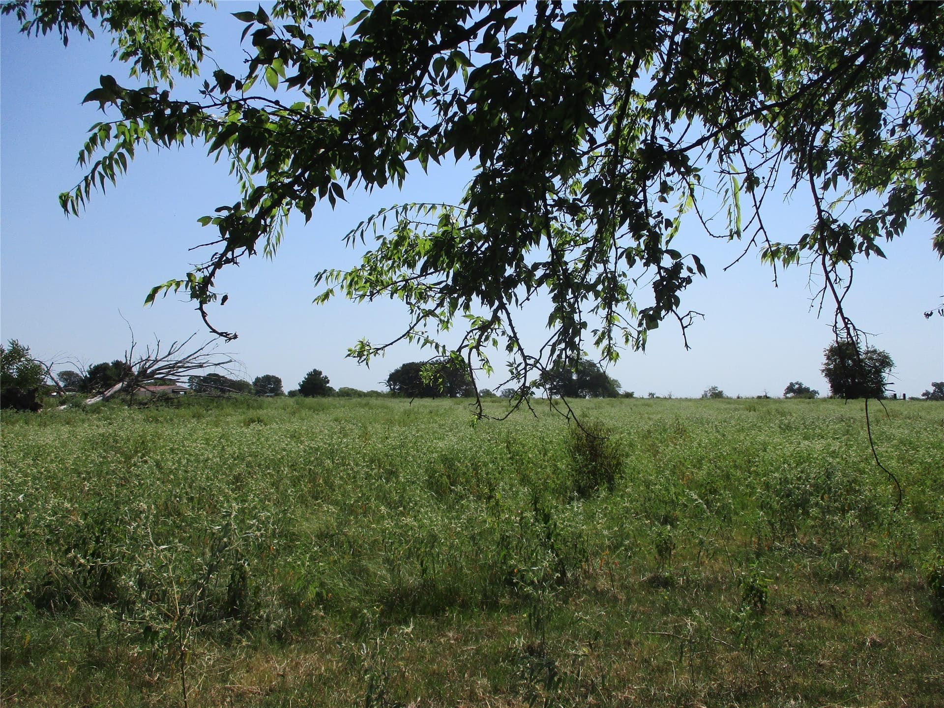 10.32 acres in Rains County - photo 3