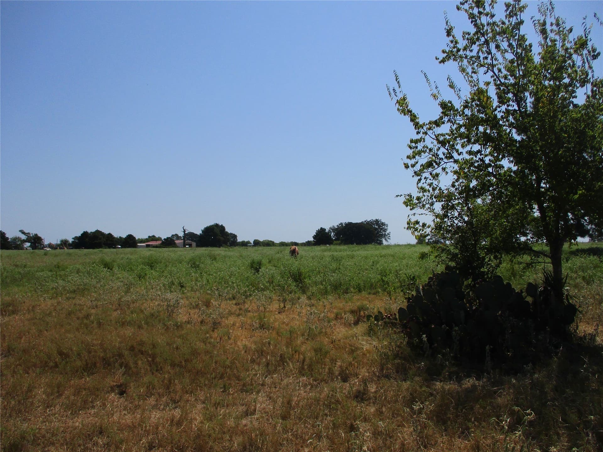 10.32 acres in Rains County - photo 7